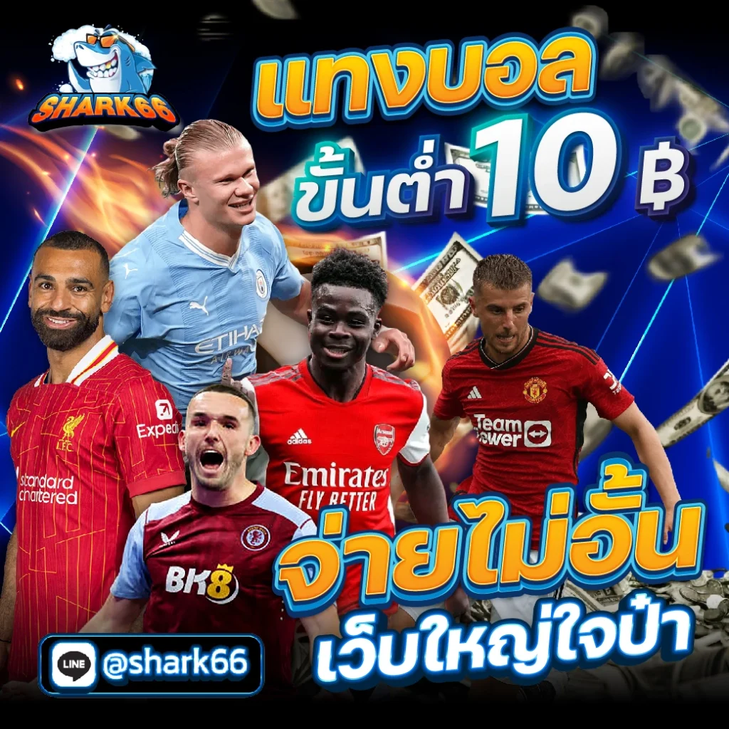 e699 เว็บตรง สล็อต ฝากถอนออโต้ ไม่ผ่านเอเย่นต์ 2026
