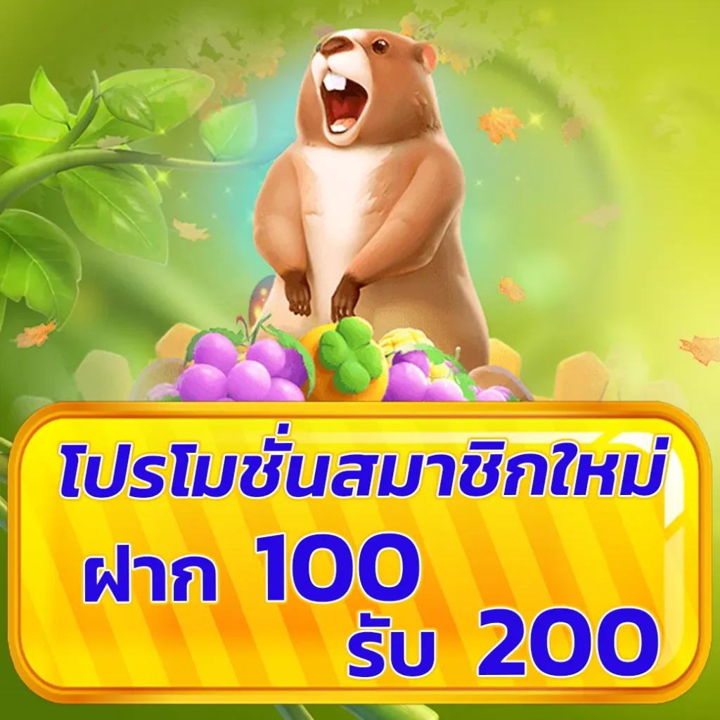 pgzeed168 เว็บตรงสล็อต ฝากถอนออโต้ไม่ผ่านเอเย่นต์ 2026