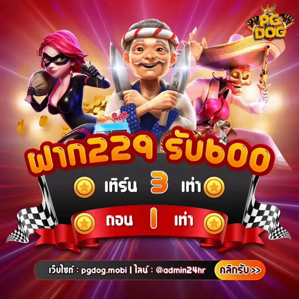slot pg wallet เว็บตรง สล็อต ฝากถอนออโต้ ไม่ผ่านเอเย่นต์ 2026